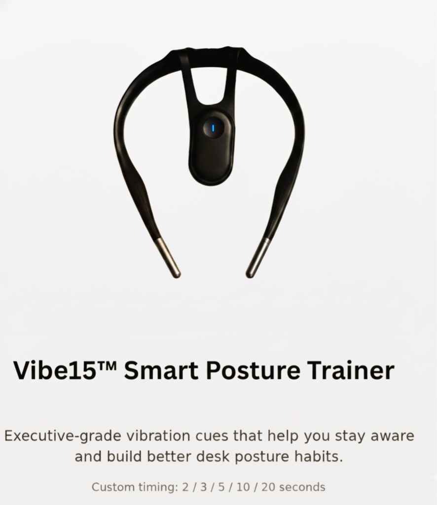Vibe15™ Executive Posture Trainer Device