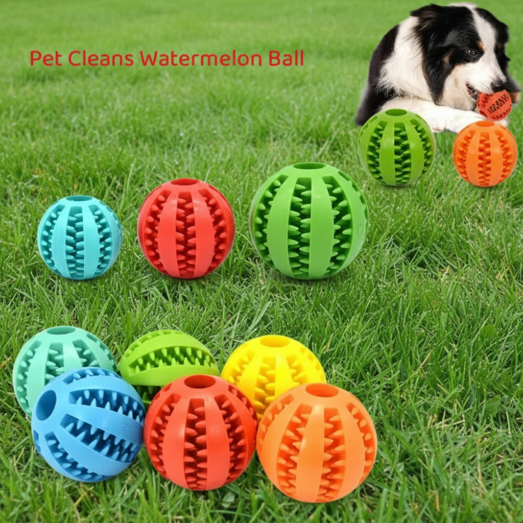 Silicone Pet Dog Toy Ball